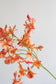 Kunstig Blomst - Sunset Orkidé