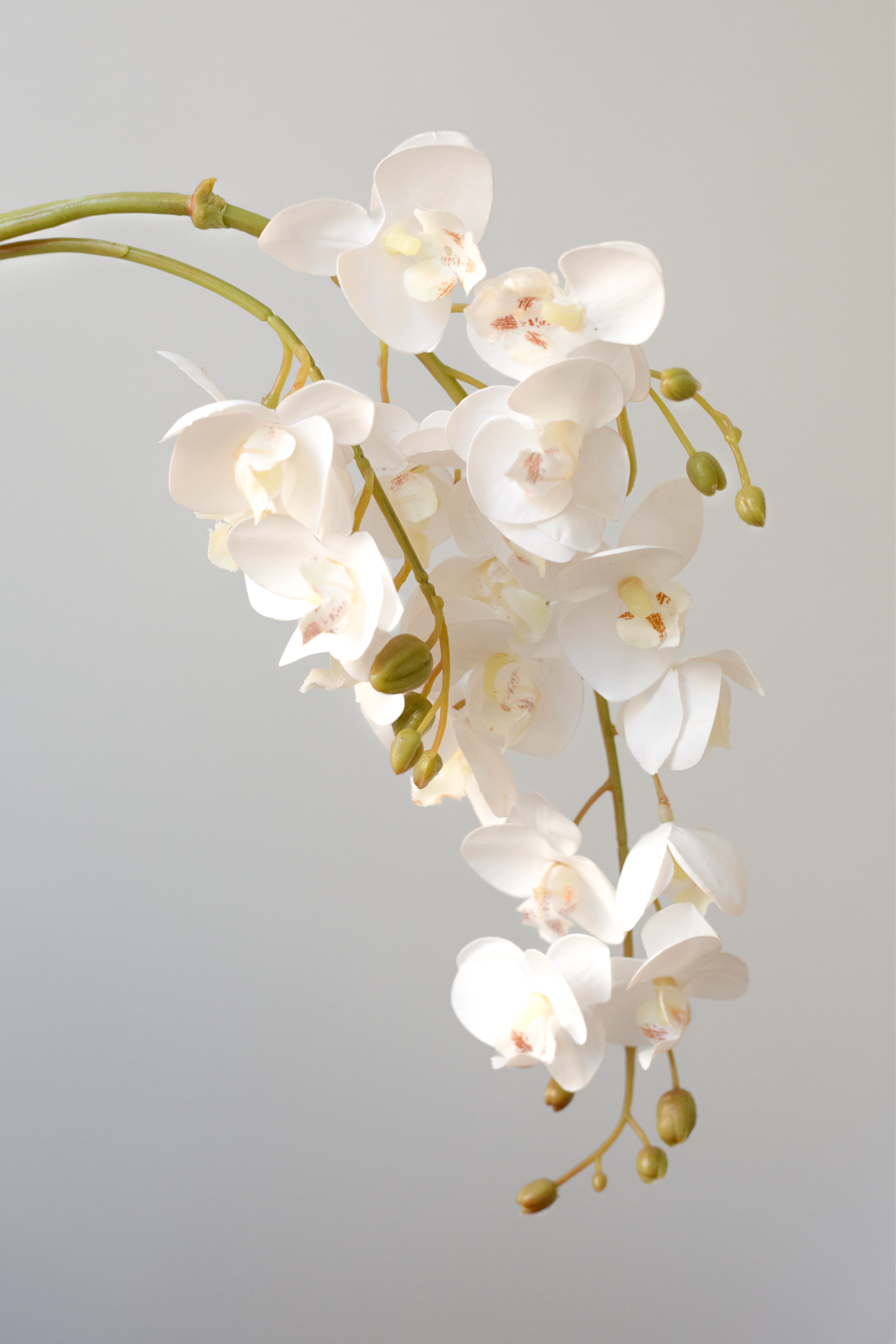 Kunstig Blomst - Hvid Orkidé (21 hoveder)