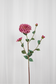 Kunstig Blomst - Pink Dahlia