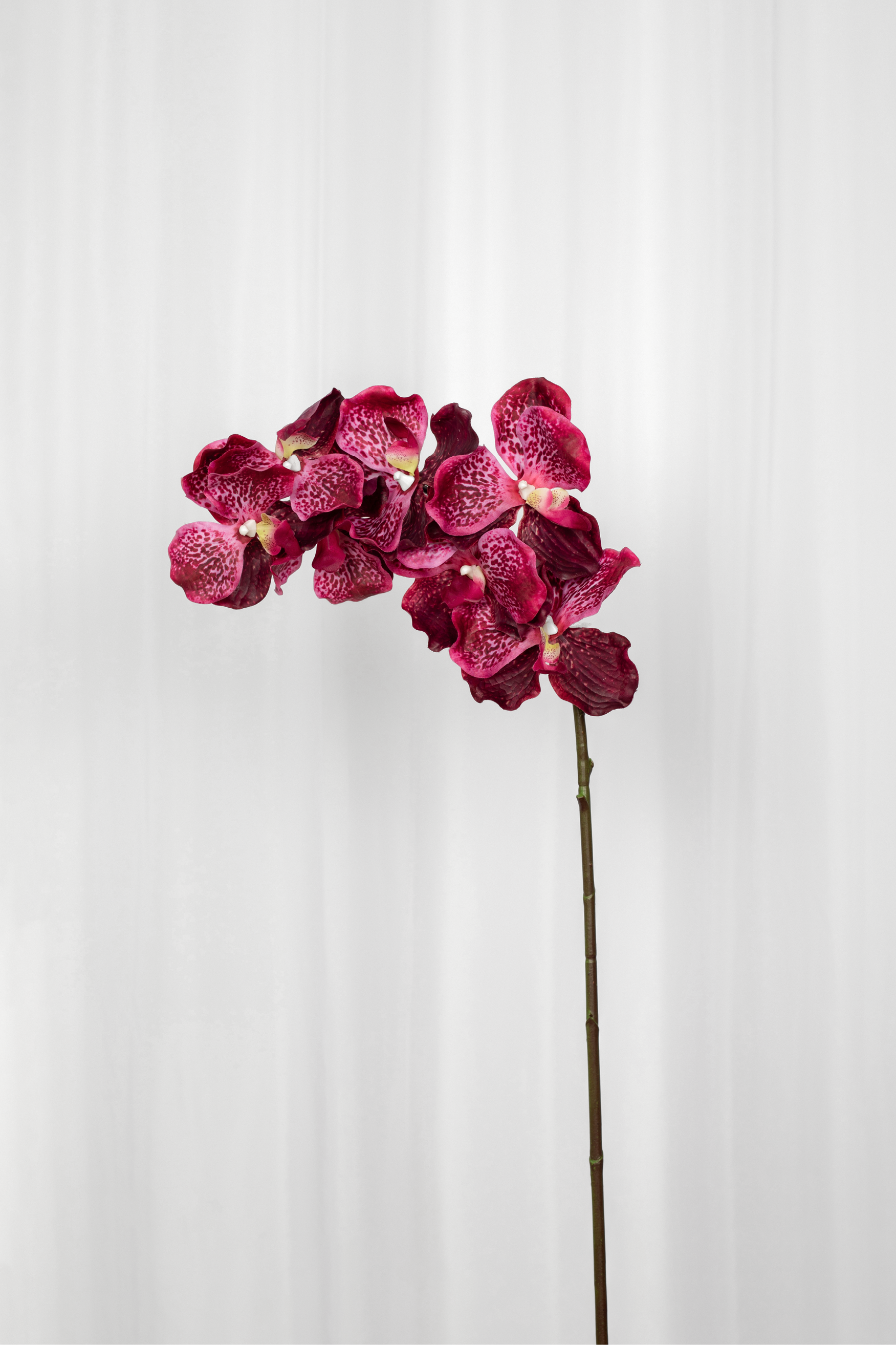 Kunstig Blomst - Plum Orkidé (7 hoveder)