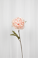 Kunstig Blomst - Rose Pæon