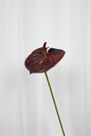 Kunstig Blomst - Bordeaux Flamingoblomst
