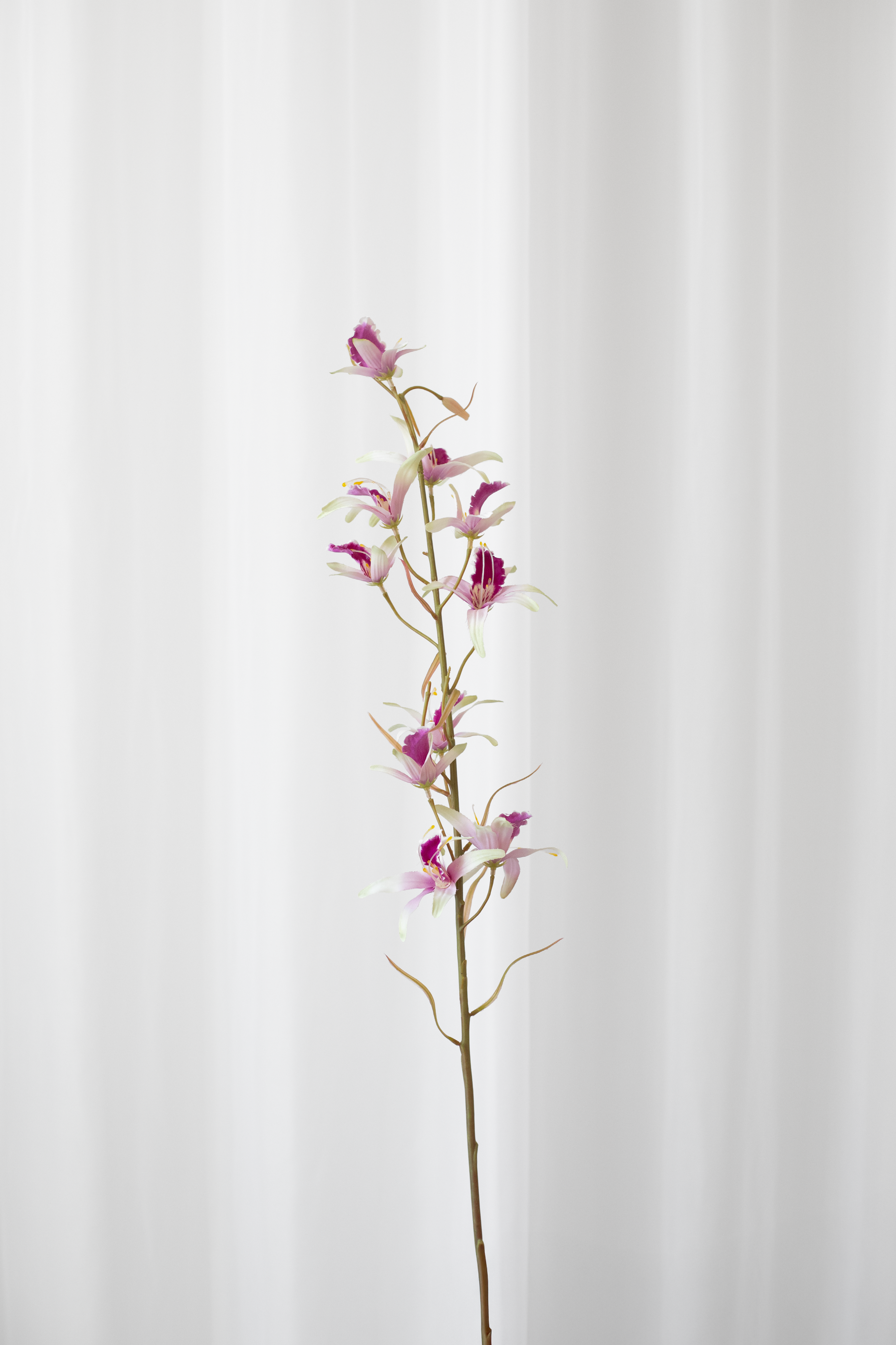 Kunstig Blomst - Lilla Dendrobium