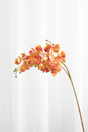 Kunstig Blomst - Amber Orkidé (21 hoveder)