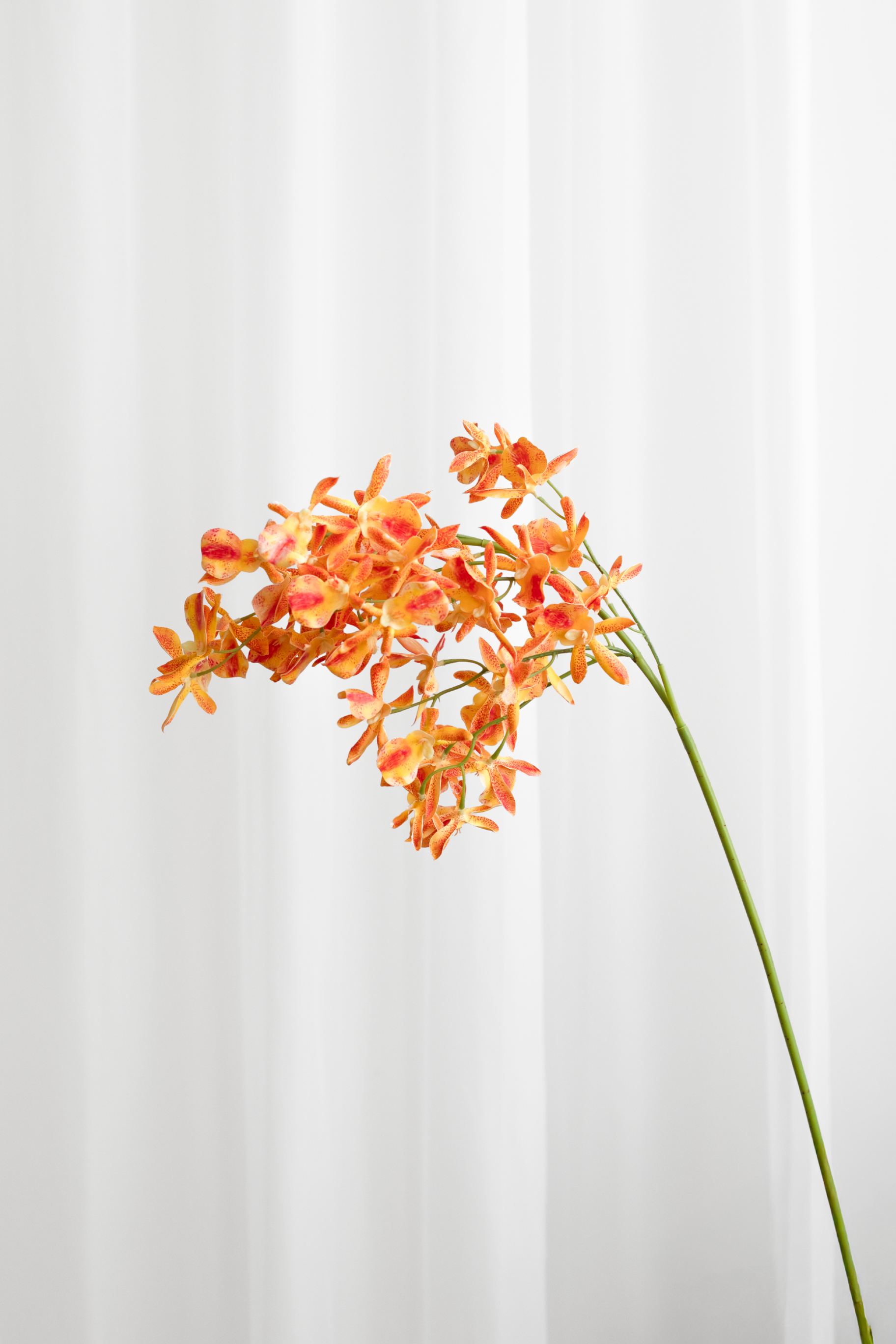 Kunstig Blomst - Amber Orkidé