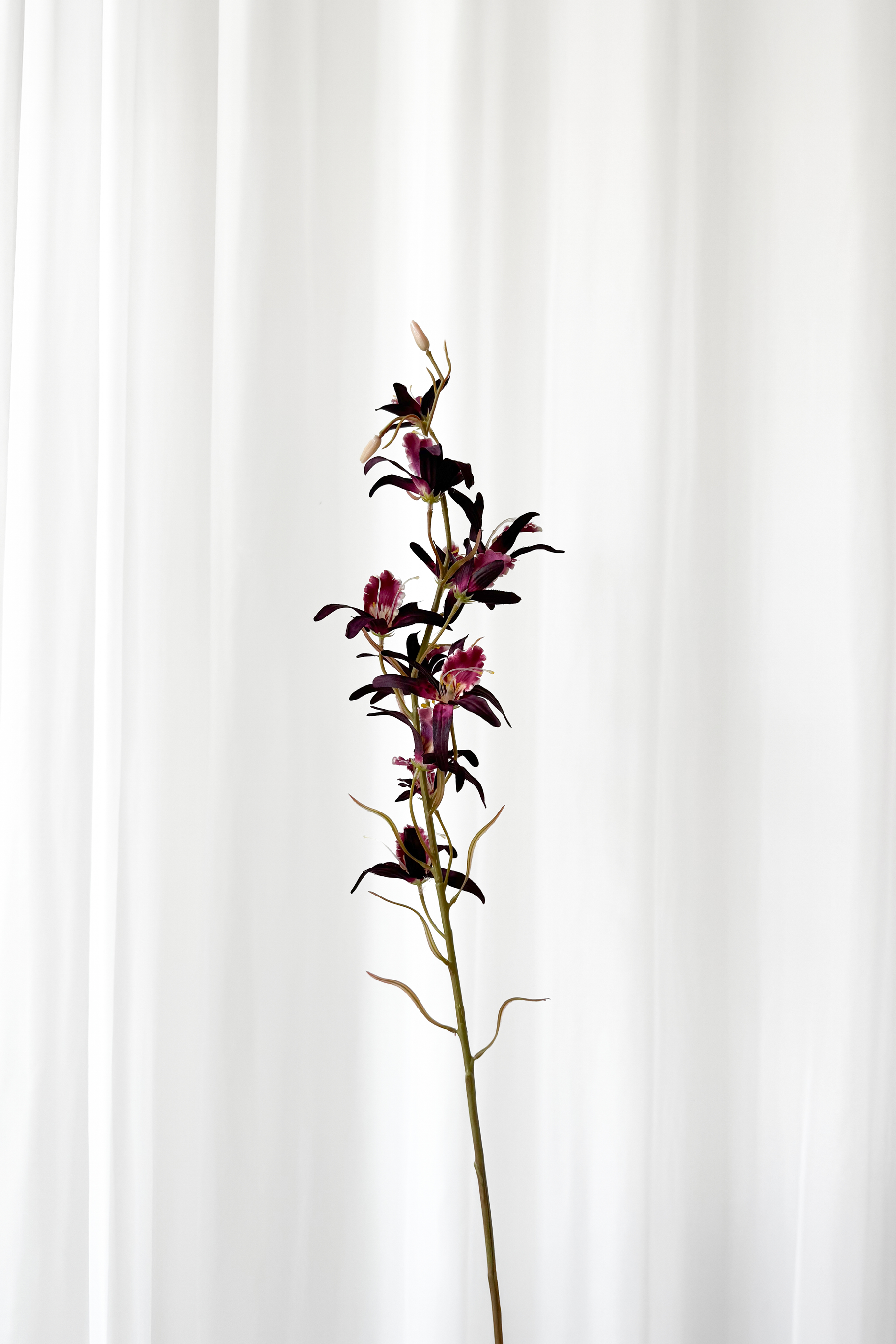 Kunstig Blomst - Bordeaux Dendrobium